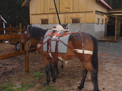 Sawbuck packsaddle ready for packin'..